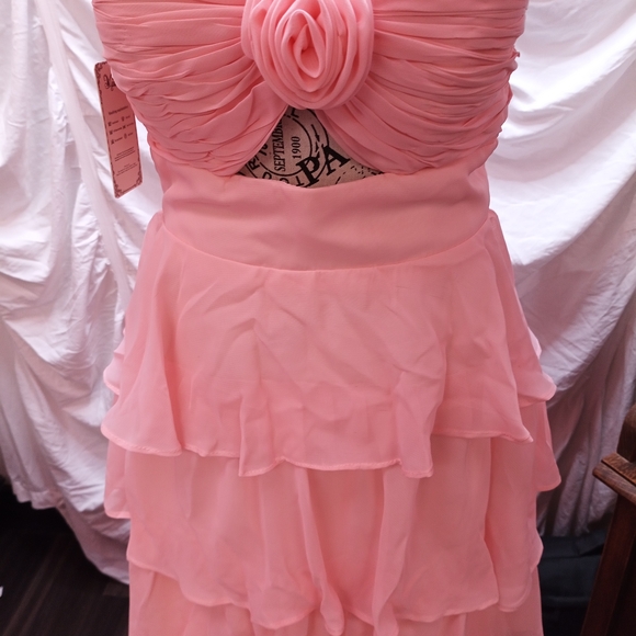 Source Unknown Blush Ruffled Prom Gown - Picture 3 of 14